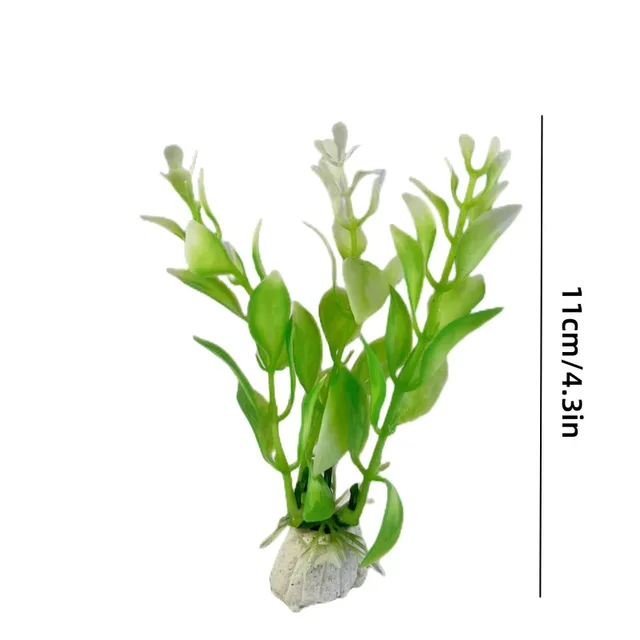 Image 31