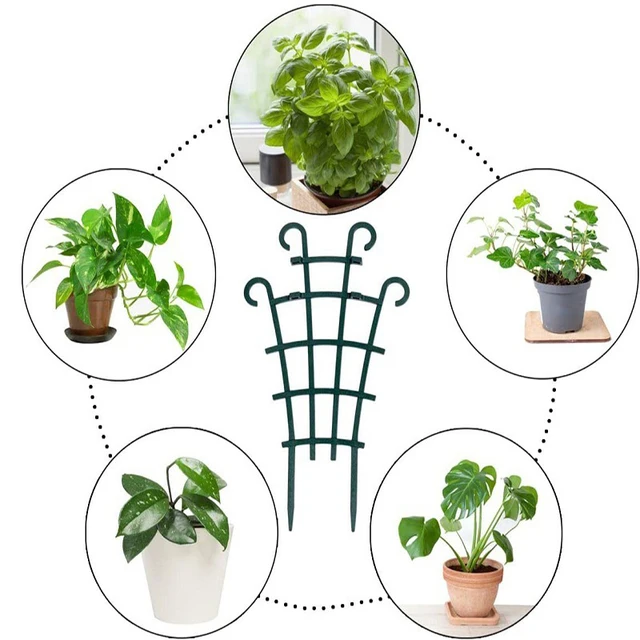 Plastic Plant Support Pile Frame Vines Garden Vines Climbing Stake Stand Flower Potted Rack Fixed Rod Greenhouse Arrangement New 4