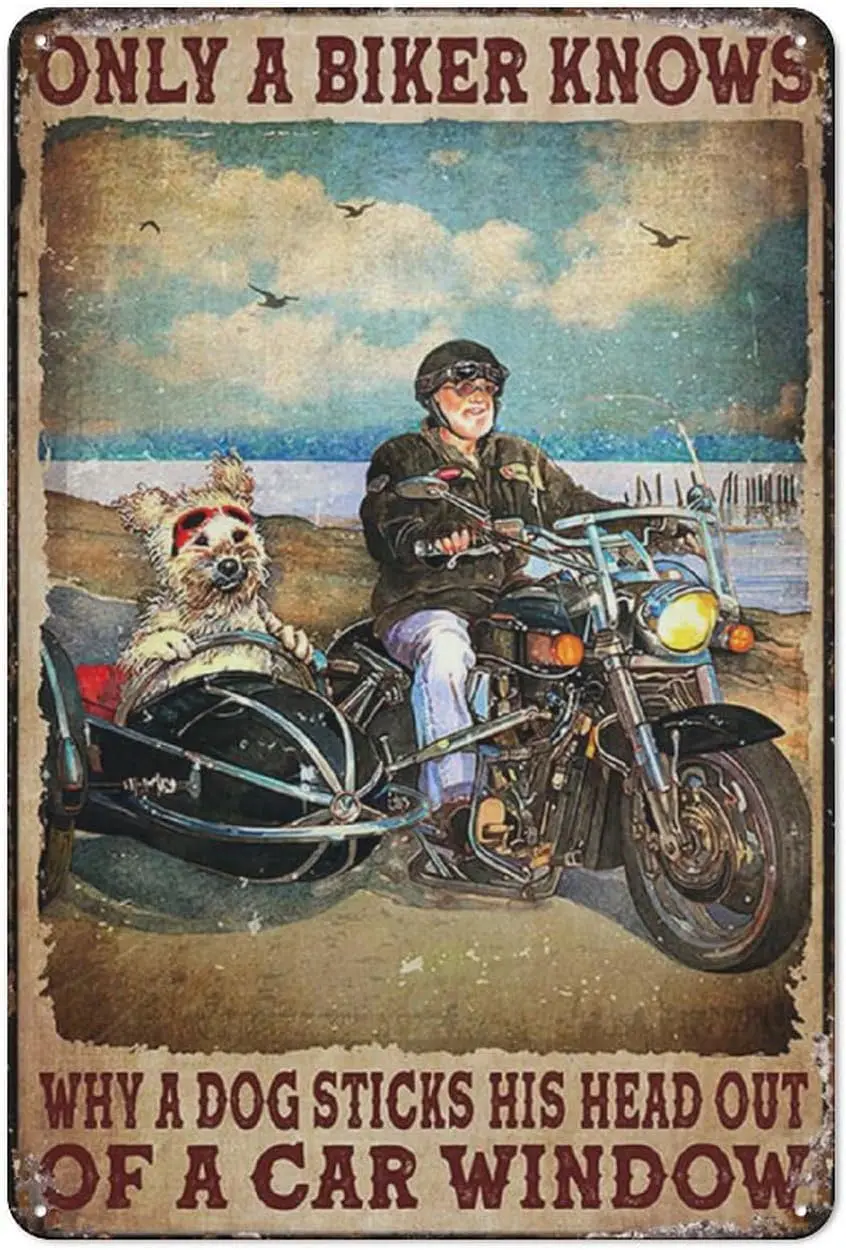 Ретро жестяной знак Sidecar Dog-только велосипедист знает, почему собака приклеивает голову, из автомобильного окна для дома, гостиной, сада, B