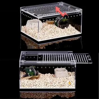 Acrylic Reptile Breeding Box 3
