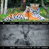 Outdoor Wildlife Infrared Camera 36MP 4k Trail Night Vision 0.2s Motion Activated Waterproof Garden Wildlife Trap Wide Angle Cam 3