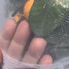 Nylon Plant Protection Netting Mesh Bag Cover for Fruit Vegetable Tree Strawberry Grapes Pest Control Anti-Bird Gardening Tools 3