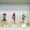 Matchstick Glass Bottle Aromatherapy Candle Glass Cloche Jar Fireplace Match Christmas Matchbox Storage Jar with Wooden Stopper 5