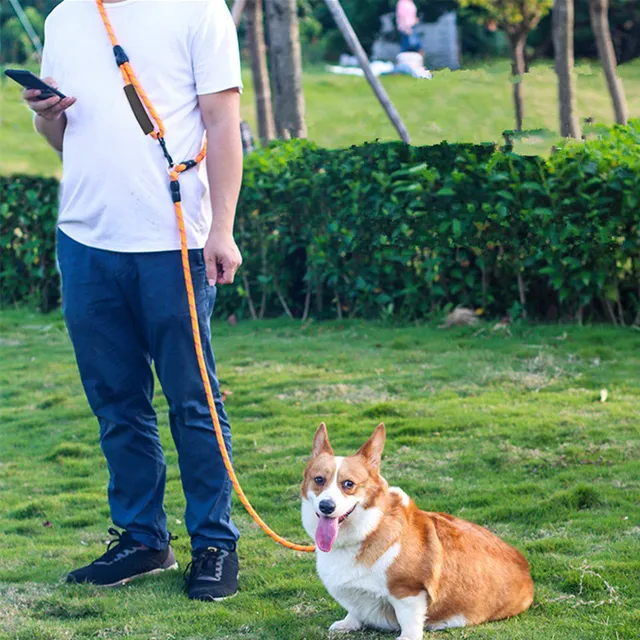 Dog Leash Hands Free Dogs Leash Reflective Leashes for Dog Walking Running Rope 2.4M Long Adjustable Double Leashes Dogs Ropes Dog Leash Hands Free Dogs Leash Reflective Leashes for Dog Walking Running Rope 2.4M Long Adjustable Double Leashes Dogs Ropes