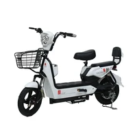 Wholesale Price 14 Inch Step Through Electric Bike 2