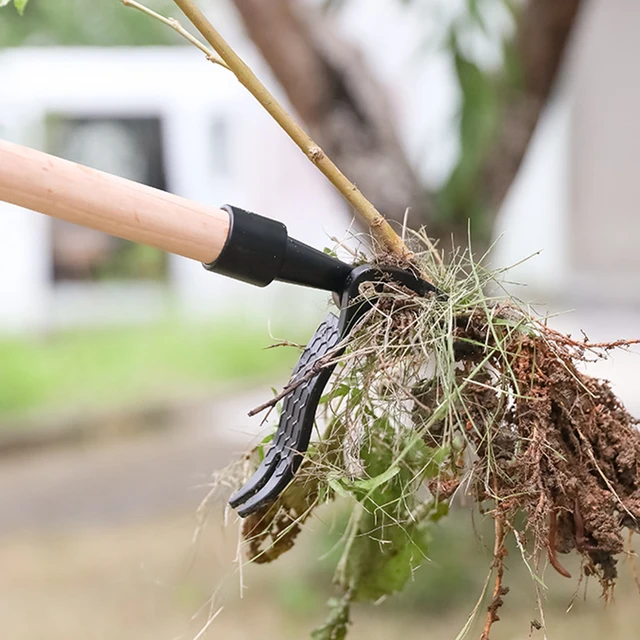 2 Csomag Stand-Up Gyomhúzó Szerszám Kézi Függőleges Kézikönyv Gyomláló Lapátgyűjtő Gyomor - Image 5