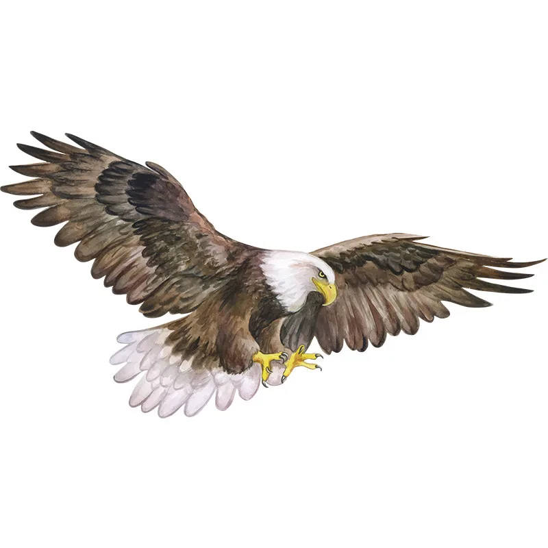 Removable Eagle Soaring Bird Decorative Vinyl Office Decor Wall Art Sticker Students Dormitory Decoration Classroom Decal Poster