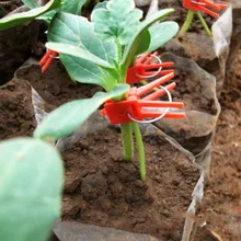 

50PCS/31PCS Flat and Round Grafting Clips Garden Durable Tomato Vegetable Plant Support Reusable Tools Agriculture Fixing Clamps