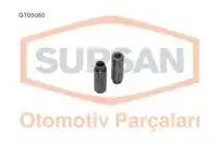 Gt-05060 Per Supap Gaydi (16S, M110, M111, M604, Om605, Om605, Om606) W124 9395, Om606.