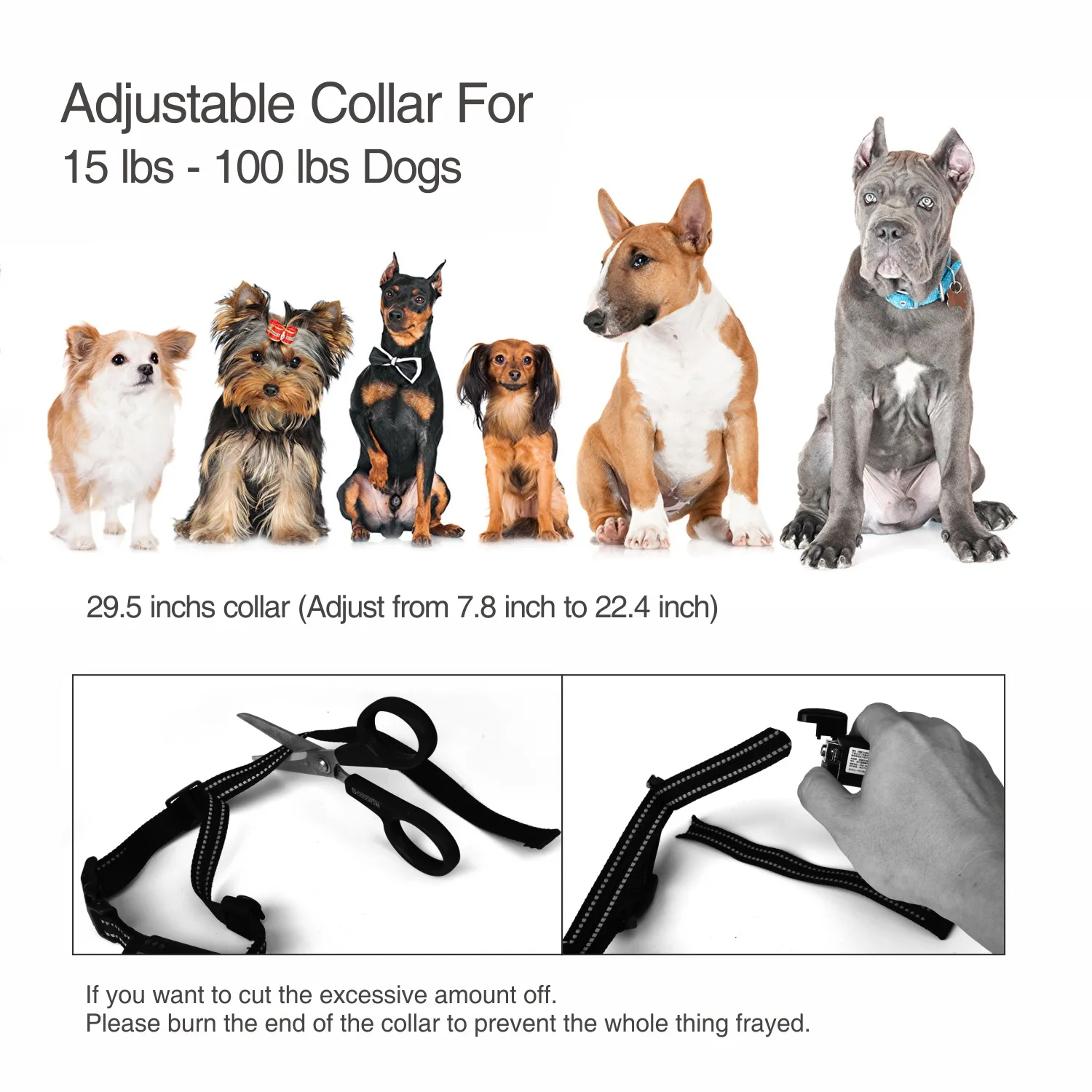Rechargeable Electric Shock Collar IPX7 Waterproof Dog Training Collar with Remote Dog Shock for Large Medium Small dog trainer