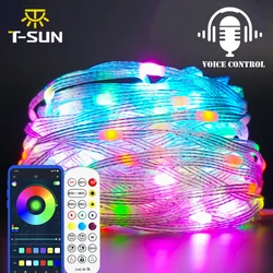 LED String Light App - Controlled Outdoor Fairy Lights - Waterproof Holiday and Party Decoration - 20M200LED (RGB)