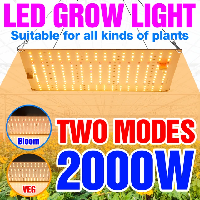 Lampe horticole LED horticole à spectre complet pour serre, Phyto