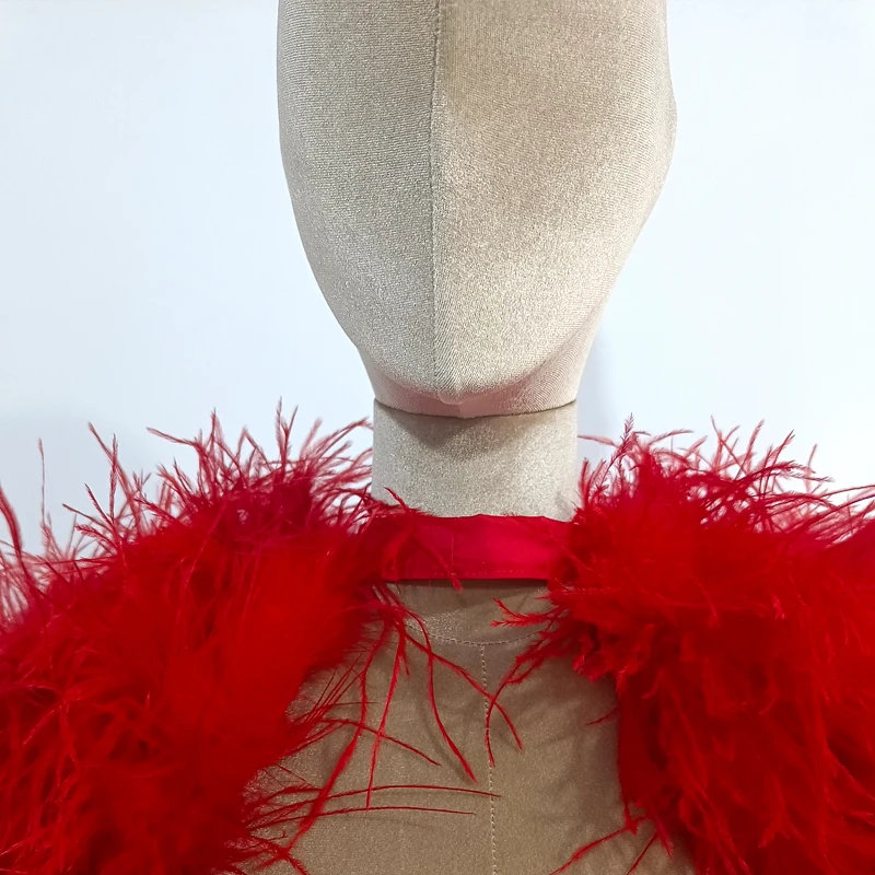 Neuestes Design, modisch, 100 % Straußenhaar, Ärmellänge 60 cm, mehrfarbig, individuell gestaltet, für Mode, Club und Party, Bankett, vielseitig – Detail 9