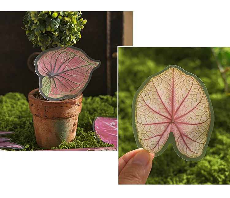 20 pcs Plants Flowers Leaf PET Sticker pack Hand Account Collage Junk Journal Planner Scrapbooking Decor Stationery Stickers