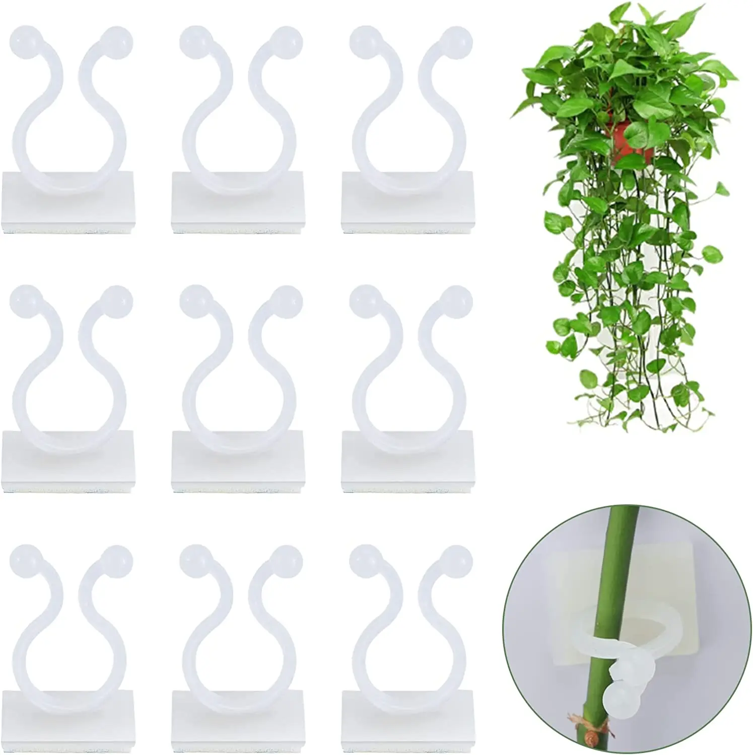 Self-Adhesive Plant Wall Climbing Clips - Versatile Garden Vine Support