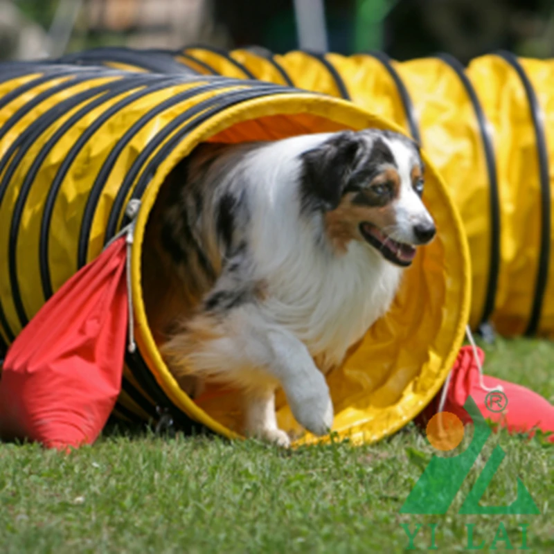 International Competition-Level Pet Dog Super Thick Shuttle Tunnel Multiple Sizes Sun Protection Moisture-Proof Agile