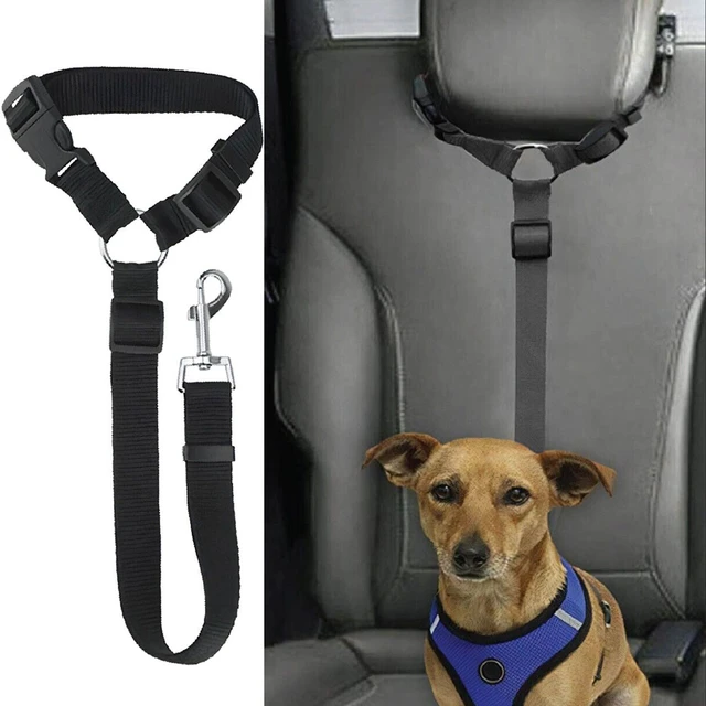 Dog seat belt clip - .de