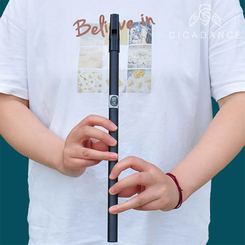 Musical Instruments Irish Whistle Flute C/D/bE/bB Key 6 Holes Ireland Flutes Alloy Musical Instruments Professional Beginner Kids Christmas Gifts