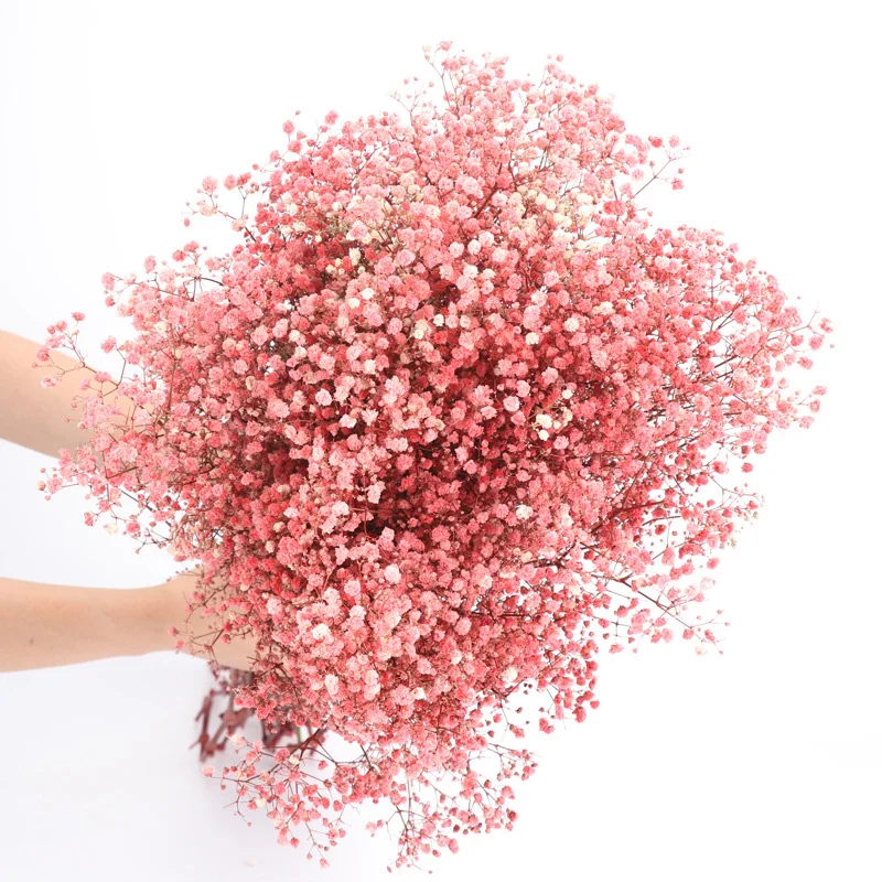 Gypsophila Dried Flowers Bouquet Baby's Breath Flores Artificial