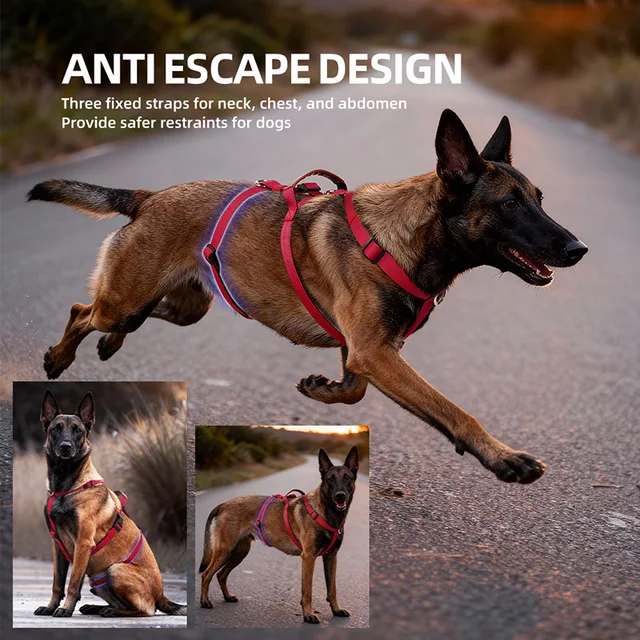 Escape-Proof Nylon Dog Harness with Handle Adjustable No-Pull Pet Harness for Medium Large Dogs Golden Retriever Husky Supplies 2