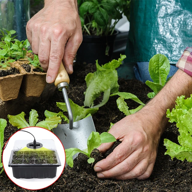 5 Pack 12 Sejt Ültető Vetőmag Óvodai Tálcák Növekvő Könnyű Palántolólemez -Tálcával Üvegházhatást Okozó Palánták Lélegző Doboz - Image 3