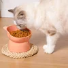 New Elevated Cat Bowls Stress Free Feeder and Waterer with Base Anti-Vomiting Tilted Raised Nonslip Pet Bowls 2