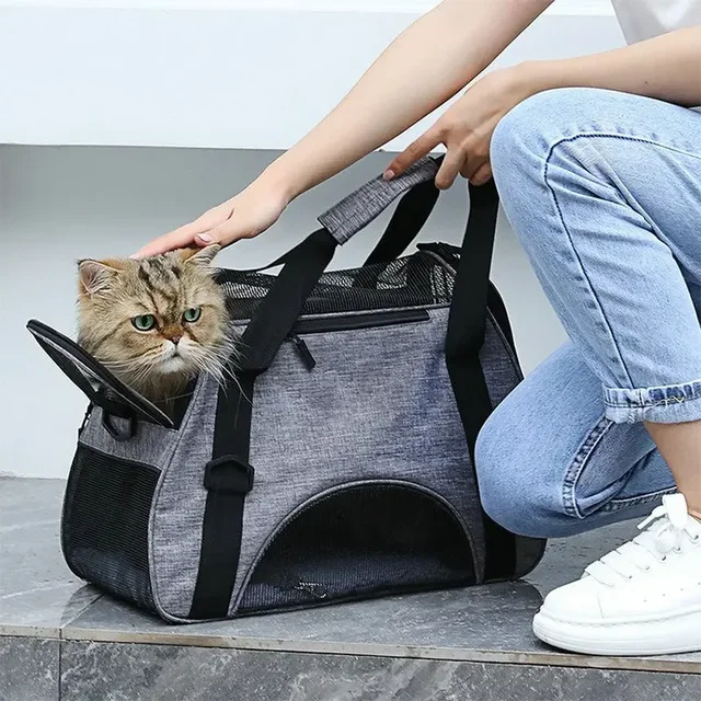 Sac portable en maille respirante pour animaux de compagnie, sacs de voyage, tente extérieure, sac à main, petit chien, chat, chiot 1