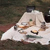 S1 picnic blanket
