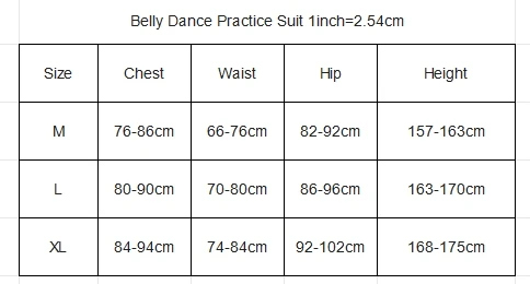 Bauchtanz-Set für Damen, High-End-Temperament-Performance-Kostüm für Erwachsene, weiblich, orientalischer Tanz, professionelle Übungskleidung – Detail 1
