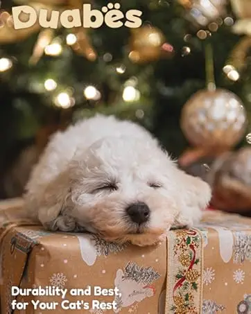 Duabes automatic litter box