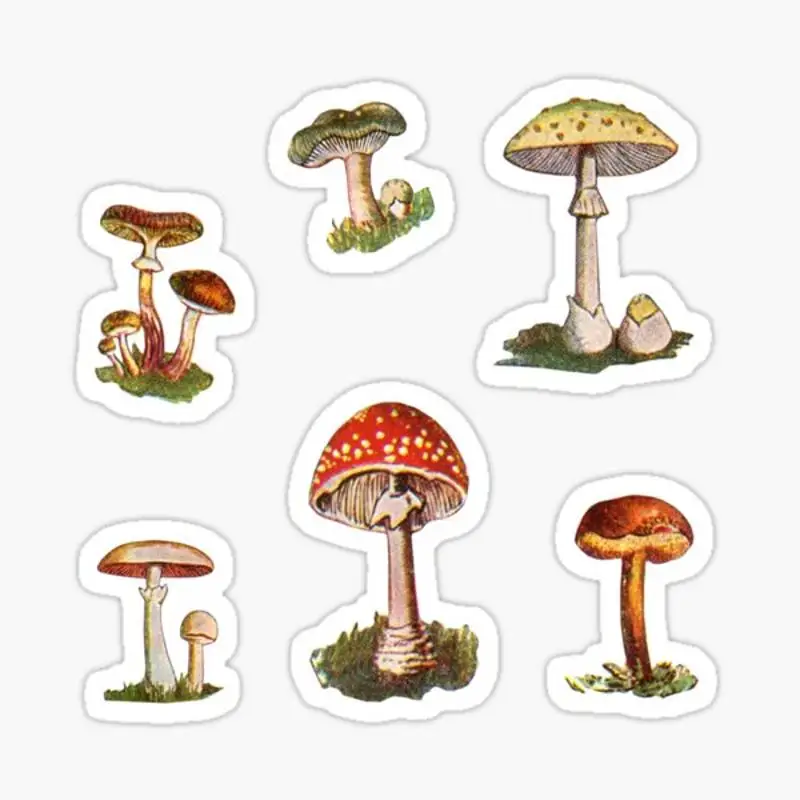 

Mushrooms Sticker for Laptop Decor Bedroom Car Cute Cartoon Art Fashionable Public Suitcase