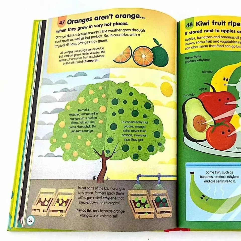 11 Books/Set 100 Things to Know About Hardcover Children Book in