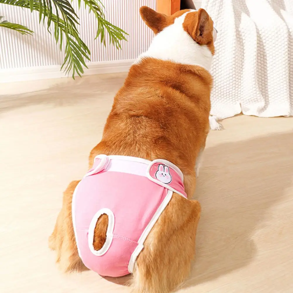 Dog Diaper for Female Dogs Breathable Pet Menstrual Pants for Small Medium Dogs Female Dog Diapers Panties Physiological Shorts