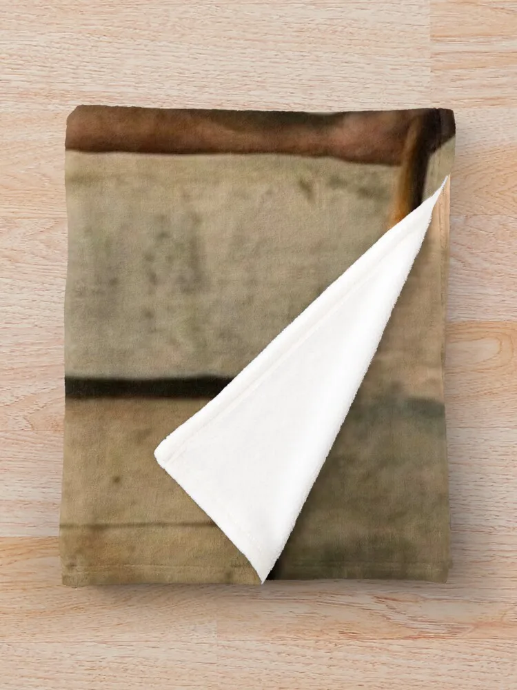 � ĳ�� ������ ���, ħ��� ���