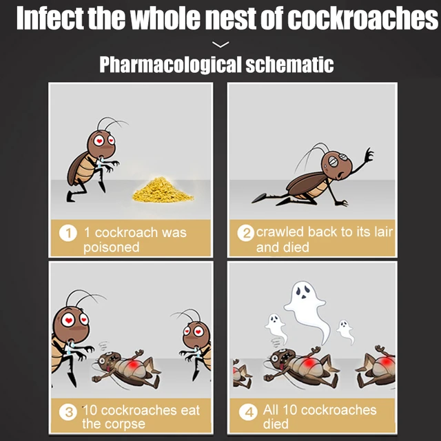 100Db Csótány Megöli A Csali Por Hatékony Csótány-Vezérlő Konyha És Az Otthoni Kártevő Visszataszító Kocka-Ellenes Gyógyszer - Image 6