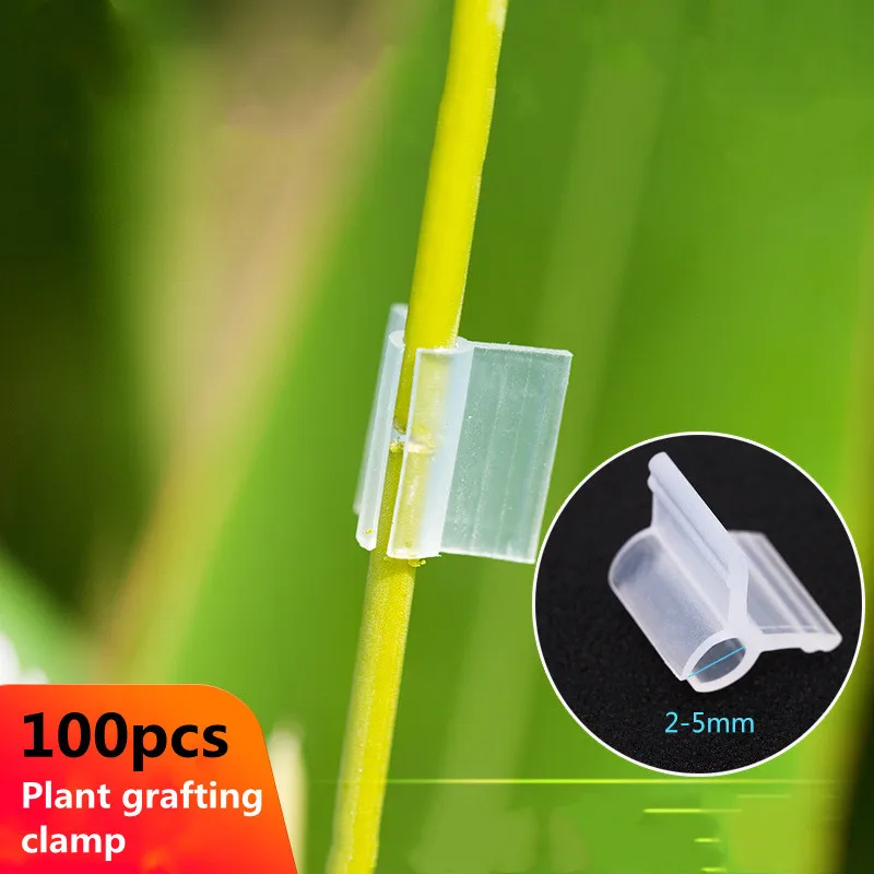 100 Clip Supporto Piante In PP – Fermagli Da Giardino Per Pomodori, Viti, Uva E Ortaggi – Regolasteli In Posizione Verticale – Riutilizzabili - 4