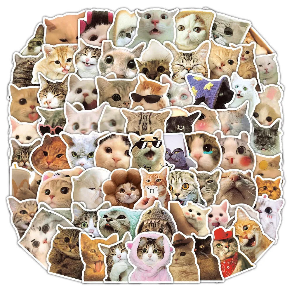 100개 귀여운 고양이 이모티콘 그래피티 스티커 카와이 키튼 헤드 두들 데칼 노트북용 귀여운 장식 레코딩유어라이프 스토어