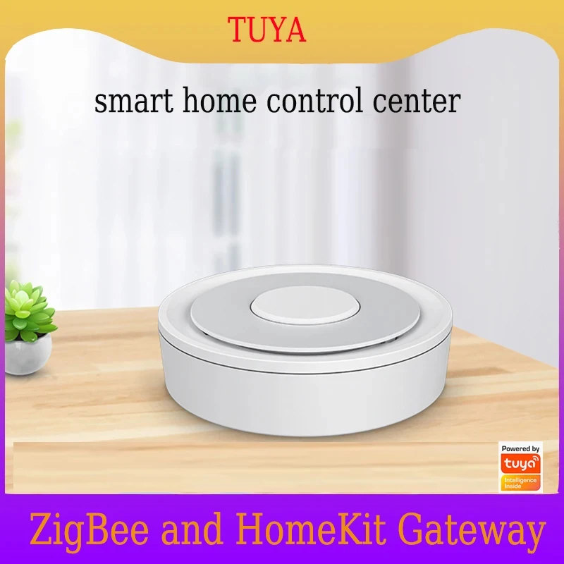Smart Gateway Hub: Wireless/Wired Control and Remote Linkage with WiFi Integration
