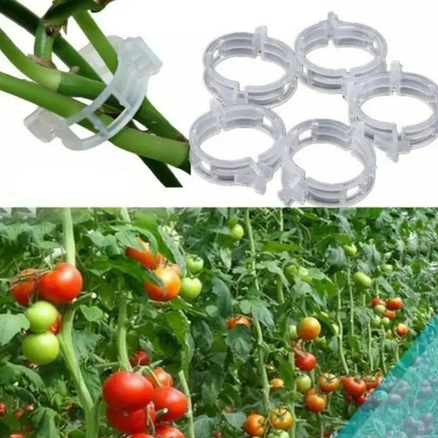 100 db Kerti Zöldségek Paradicsom Szőlő Szárak Egyenesen Támogató Növényi Klipek Uborka Karobák Harisnyakötő Növények Mezőgazdaság