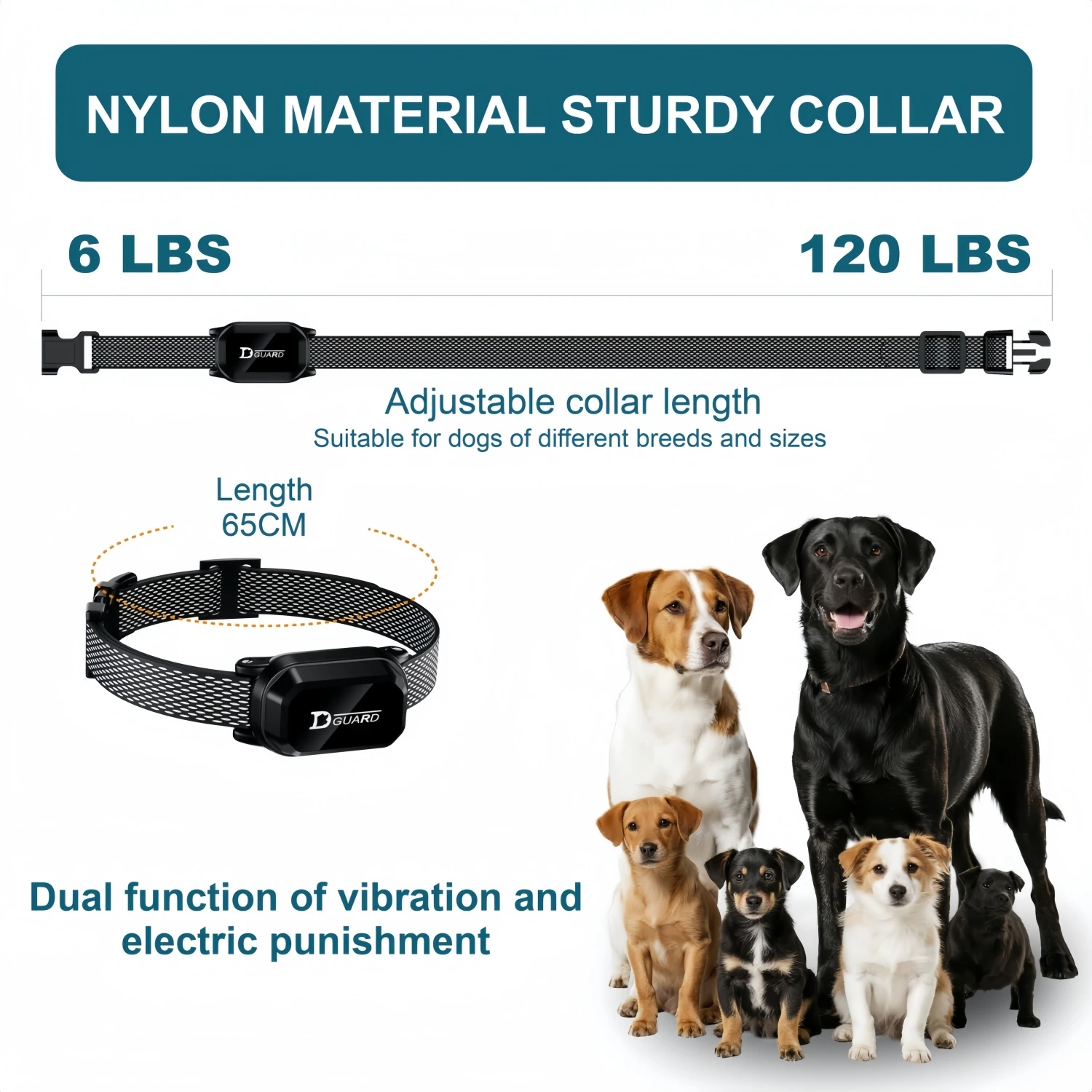 Collier De Dressage Pour Chien Avec Télécommande Et 3 Modes_voghion.com