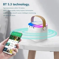 Y1 Wireless Dual Microphones Karaoke Machine KTV DSP System Bluetooth 5.3 PA Speaker HIFI Stereo Surround RGB Colorful LED Light - Image 5