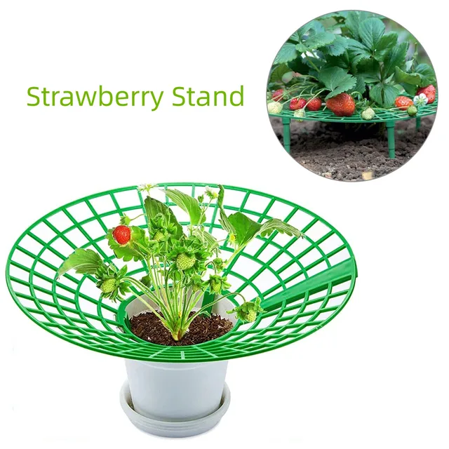 1/2/5/10Db Strawberry Támogatás A Növényi Gyümölcs Állványtermelő Kerti Szerszámok Szőlő Védelme Érdekében Kerülje Talajt
