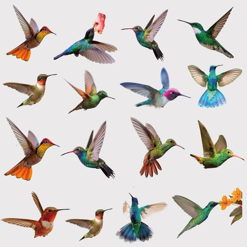 Hummingbird Window Clings 19pcs PVC for Alerting Birds