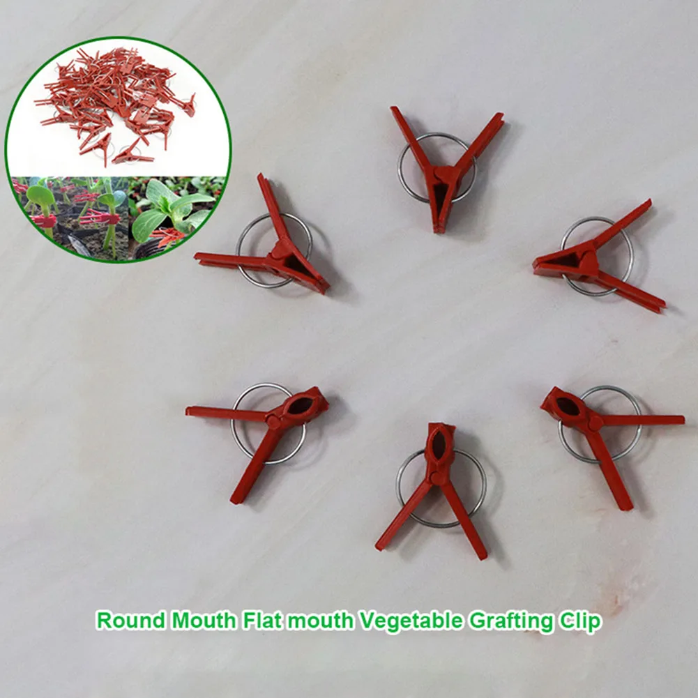 Plant grafting clip plastic gardening tool cucumber eggplant watermelon round mouth flat mouth anti-fall clamp 50PCS plant clips plastic plant clips