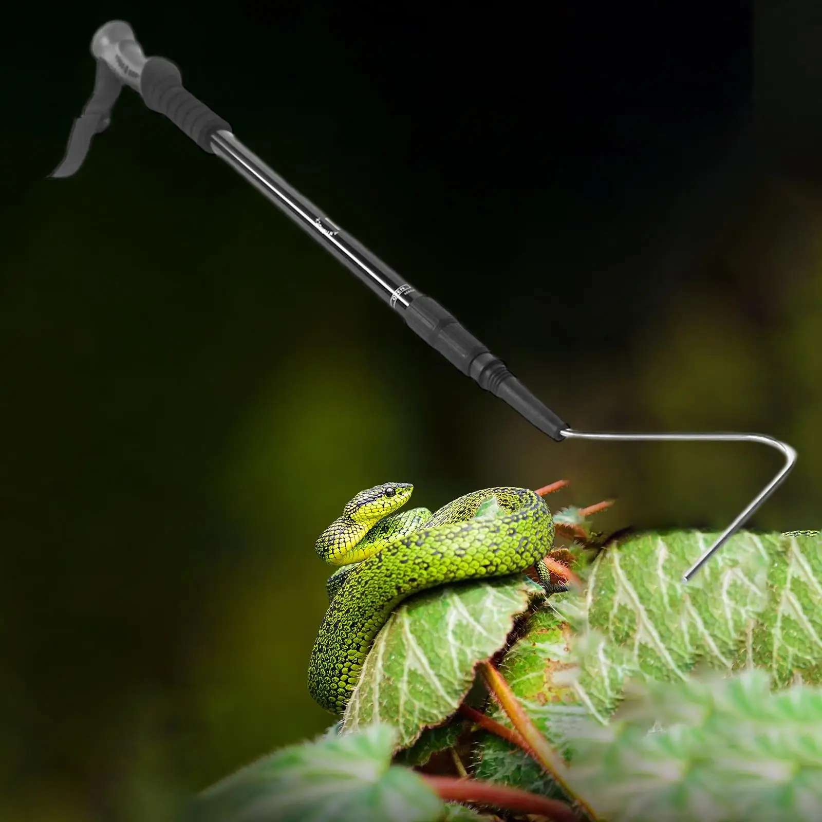 Telescoping Extensible Snake Hook Reptile Hook for , Rattlesnake, Small , & Handling