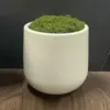 Plant Pot Home for Decoration White Imitation Ceramic Plastic Flower Pot Plants Nordic Wedding Decorative Dining Table Bedroom 1