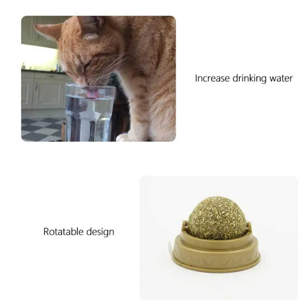 Natural Rotating Mint Ball Cat Candy Licking 6