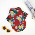 Red Pineapple