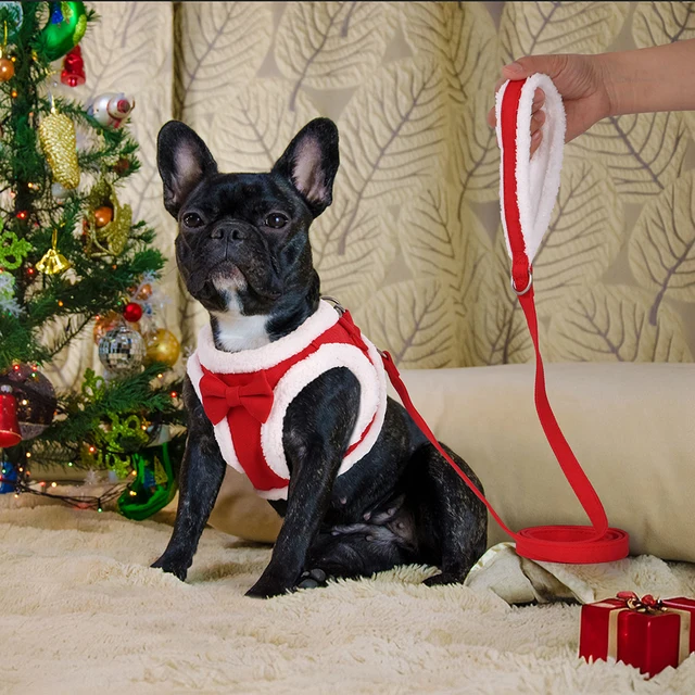 Winter Warm Dog Harness Leash Set Soft Fleece Pet Harness Vest With Cute Bowtie for Small Medium Dogs Chihuahua Walking Belt 5