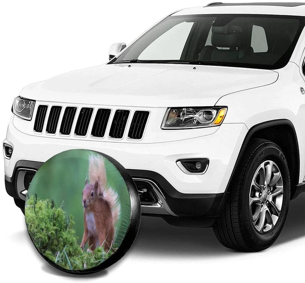 �Ϳ��� ���� ���� �ٶ��� Ʈ���Ϸ�, Rv ����� Ÿ�̾� Ŀ��, Ʈ���Ϸ�, Rv, Suv, Ʈ��, �ڵ��� ������, ����, ȭ��Ʈ